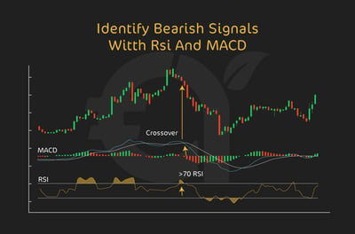 RSI and MACD